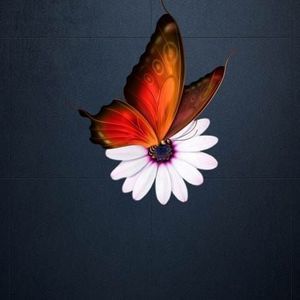 Meet your Posher, Jan